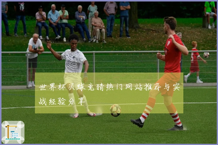 世界杯买球竞猜热门网站推荐与实战经验分享