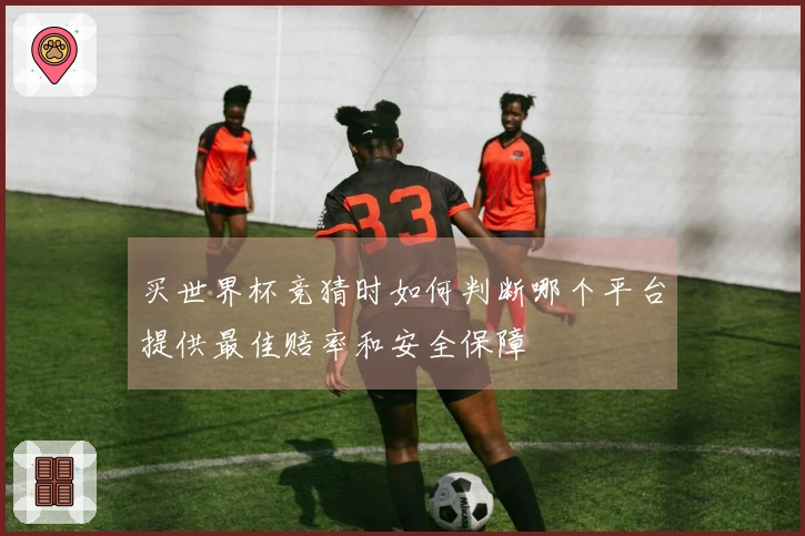 买世界杯竞猜时如何判断哪个平台提供最佳赔率和安全保障