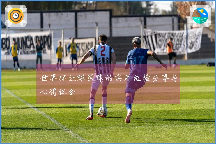 世界杯让球买球的实用经验分享与心得体会