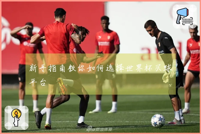 新手指南教你如何选择世界杯买球平台