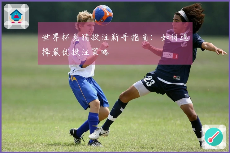 世界杯竞猜投注新手指南:如何选择最优投注策略