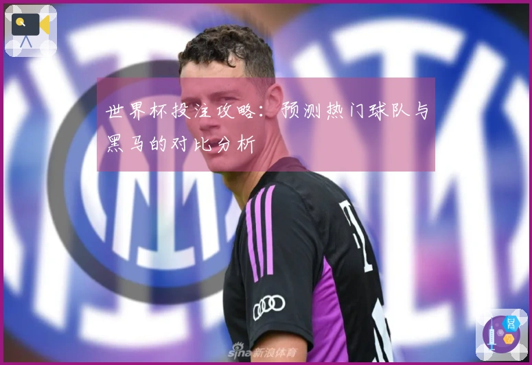 世界杯投注攻略：预测热门球队与黑马的对比分析