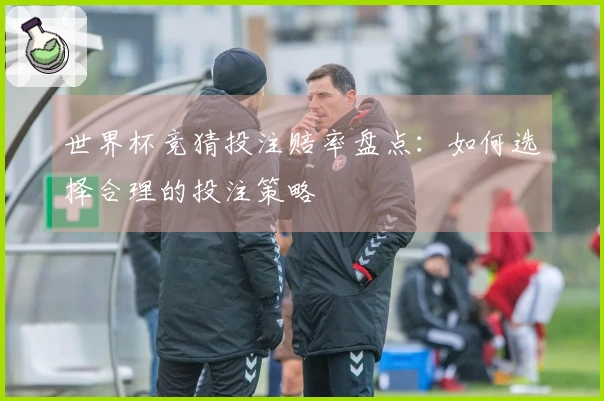 世界杯竞猜投注赔率盘点：如何选择合理的投注策略