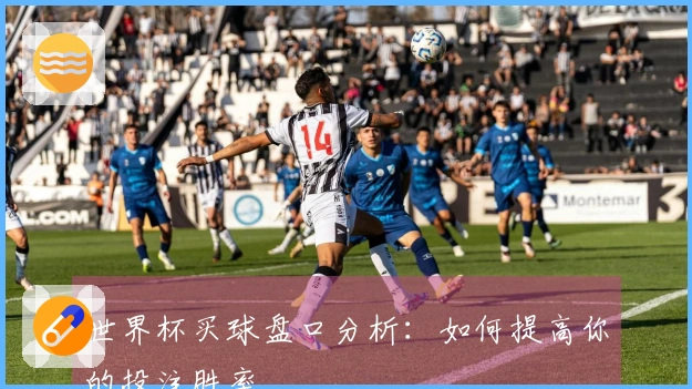 世界杯买球盘口分析：如何提高你的投注胜率