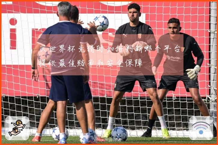 买世界杯竞猜时如何判断哪个平台提供最佳赔率和安全保障