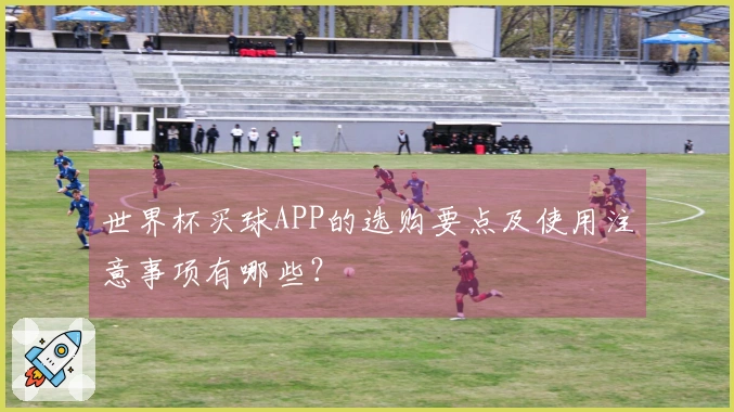 世界杯买球APP的选购要点及使用注意事项有哪些？