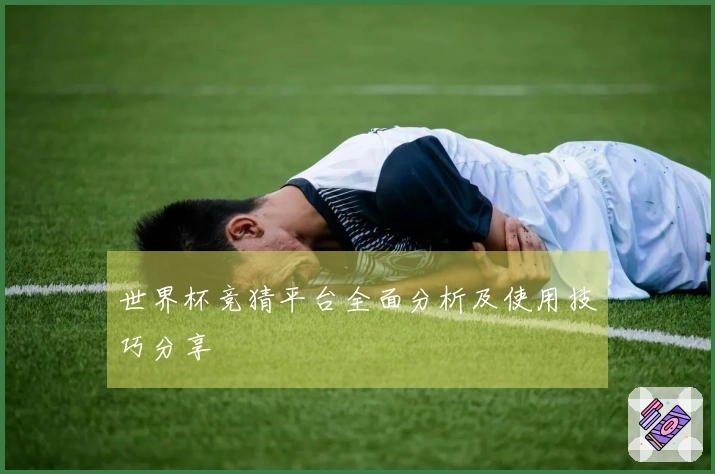 世界杯竞猜平台全面分析及使用技巧分享