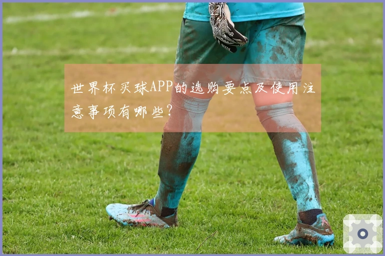 世界杯买球APP的选购要点及使用注意事项有哪些？