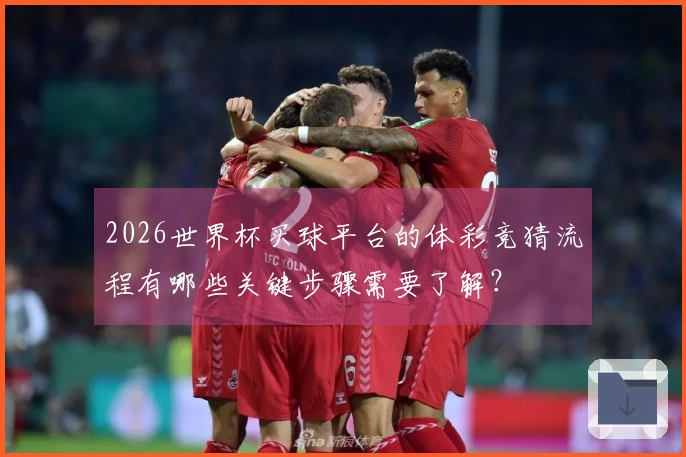 2026世界杯买球平台的体彩竞猜流程有哪些关键步骤需要了解？