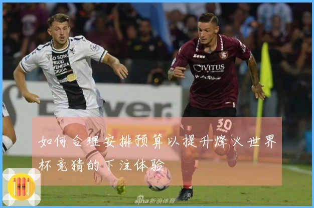 如何合理安排预算以提升烽火世界杯竞猜的下注体验