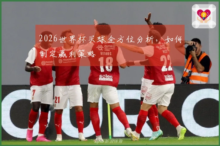 2026世界杯买球全方位分析,如何制定赢利策略