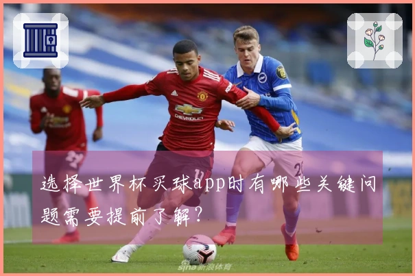 选择世界杯买球app时有哪些关键问题需要提前了解？