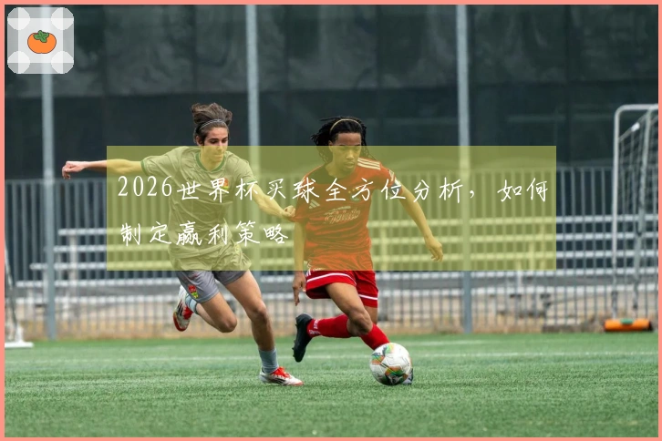 2026世界杯买球全方位分析，如何制定赢利策略