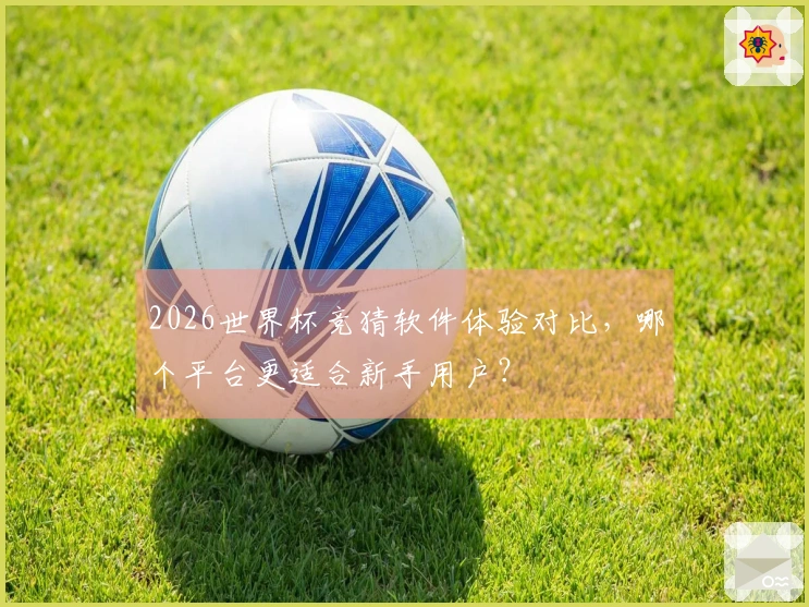 2026世界杯竞猜软件体验对比，哪个平台更适合新手用户？