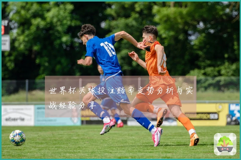世界杯买球投注赔率走势分析与实战经验分享